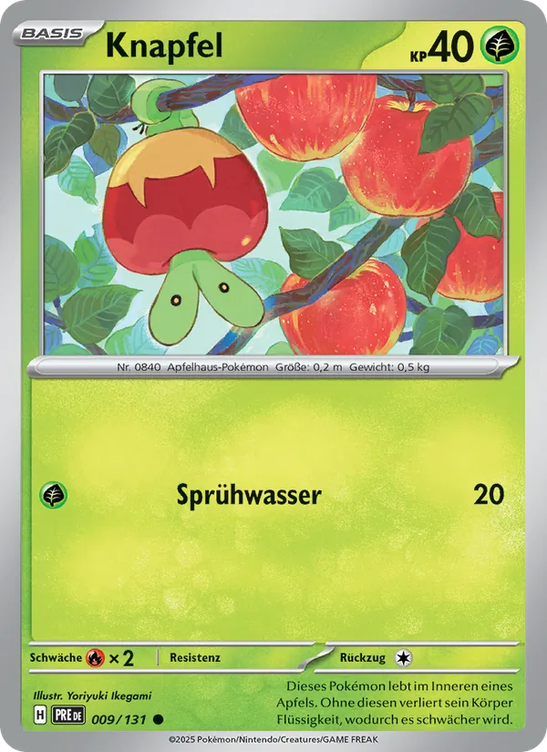 Knapfel (Prismatische Entwicklungen #009/131)