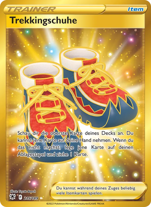 Trekkingschuhe (Astralglanz #215/189)