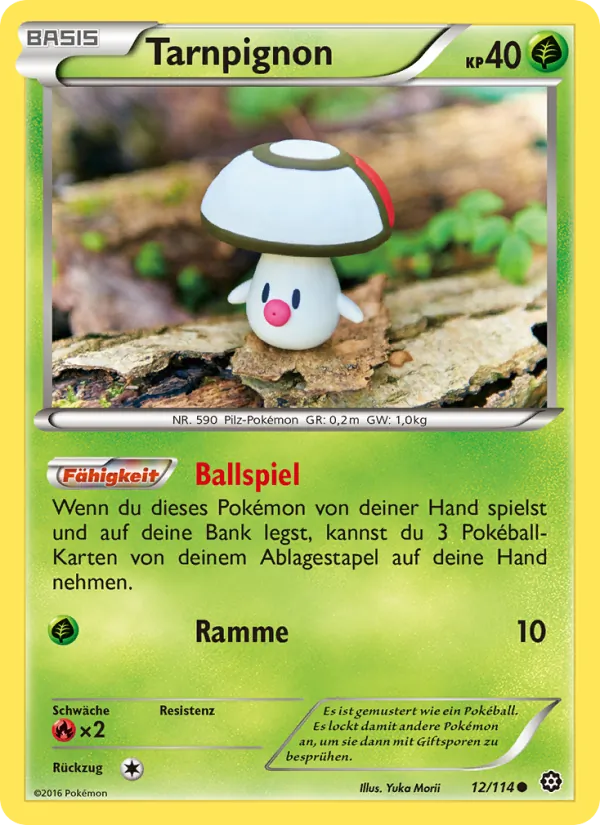 Tarnpignon (Dampfkessel #12/114)