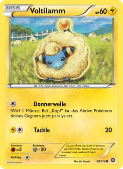 Voltilamm (Dampfkessel #38/114)