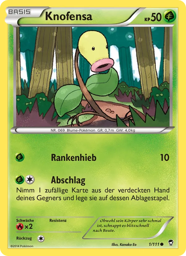 Knofensa (Fliegende Fäuste #1/111)