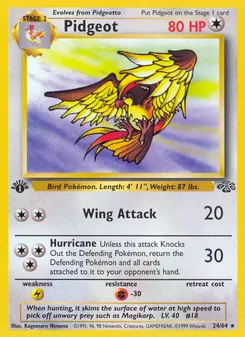 Pidgeot (Jungle #24/64)
