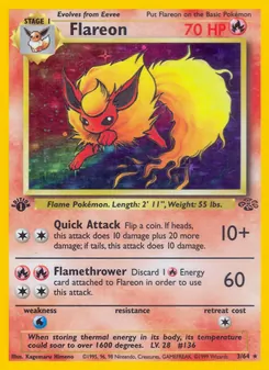 Flamara (Dschungel #3/64)