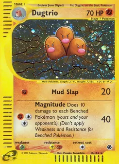 Digdri (Expedition #10/165)