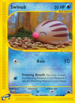 Swinub (Skyridge #107/144)