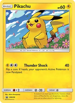 Pikachu (SM Black Star Promos #SM206/248)