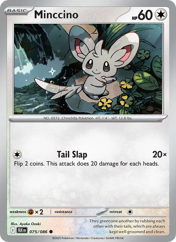 Minccino (Black Bolt #075/86)