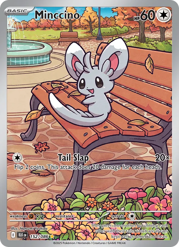 Minccino (Black Bolt #152/86)