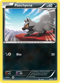 Poochyena (Kalos Starter Set #16/39)