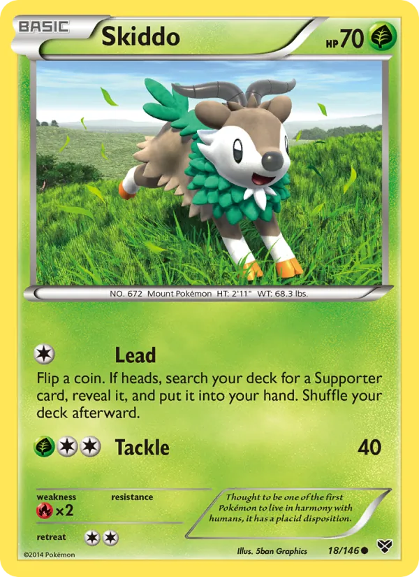 Skiddo (XY #18/146)
