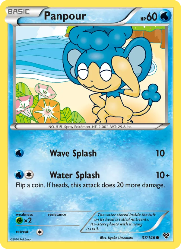 Panpour (XY #37/146)