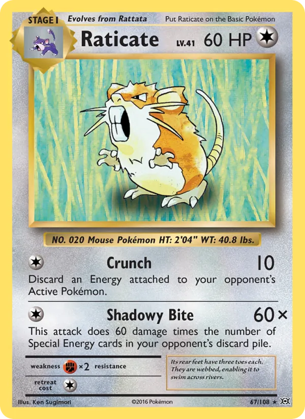 Raticate (Evolutions #67/108)