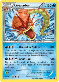 Gyarados (XY Promokarten #XY109/211)