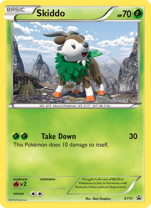 Skiddo (XY Promo #XY11/211)