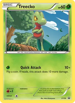 Treecko (XY Black Star Promos #XY36/211)