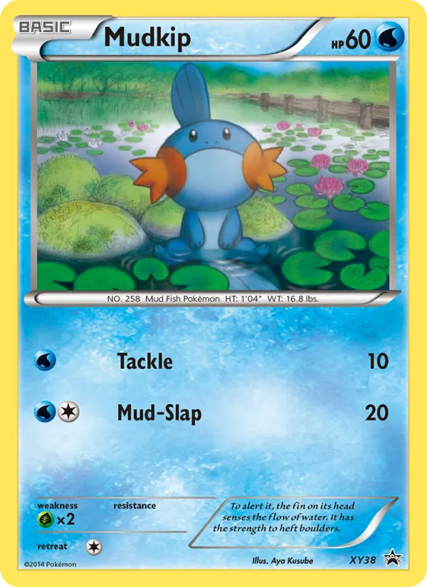 Mudkip (XY Black Star Promos #XY38/211)