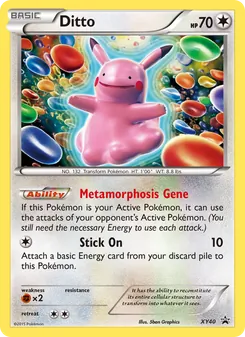 Ditto (XY Black Star Promos #XY40/211)