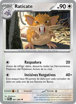 Raticate (Equilibrio Perfecto #061/88)