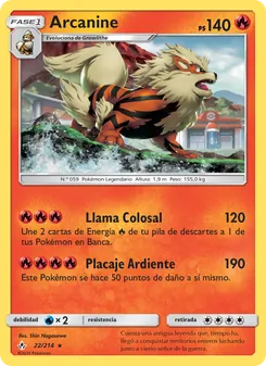 Arcanine (Vínculos Indestructibles #22/214)