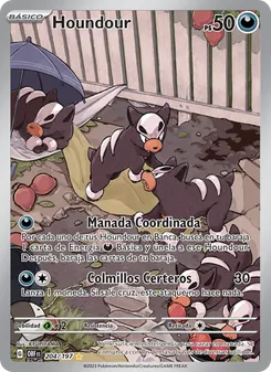 Houndour (Llamas Obsidianas #204/197)