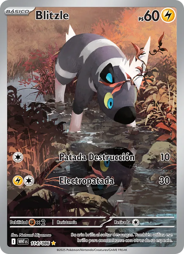Blitzle (Llama Blanca #114/86)