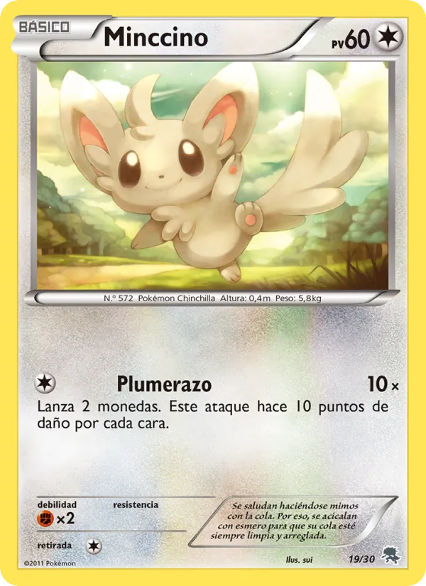 Minccino (Kit de Entrenador XY (Pikachu Enmascarada) #19/30)