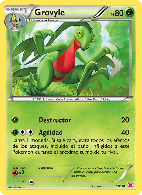 Grovyle (Kit de Entrenador XY (Latias) #18/30)