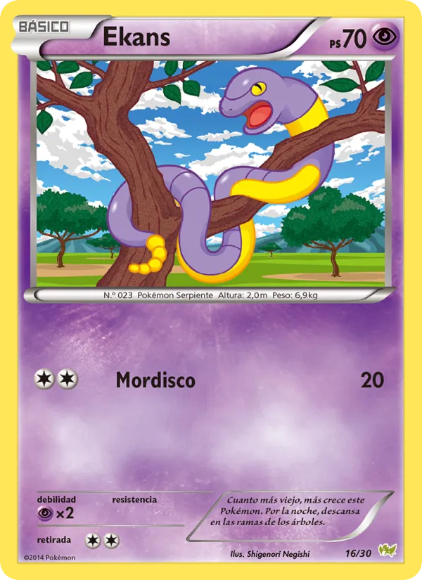 Ekans (Kit de Entrenador XY (Noivern) #16/30)