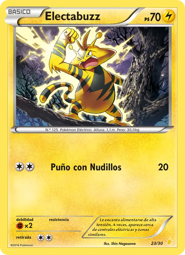 Electabuzz (Kit de Entrenador XY (Pikachu Enmascarada) #23/30)