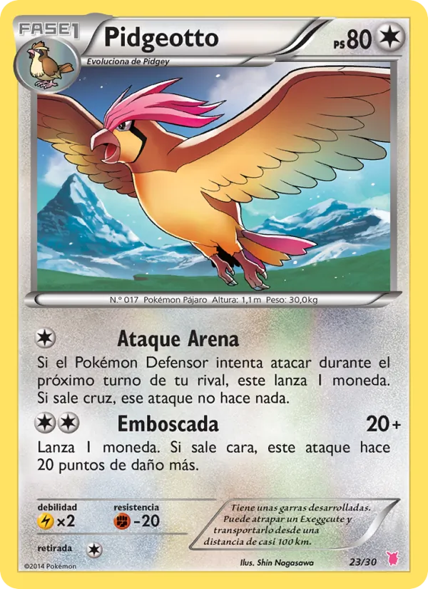 Pidgeotto (Kit de Entrenador XY (Wigglytuff) #23/30)