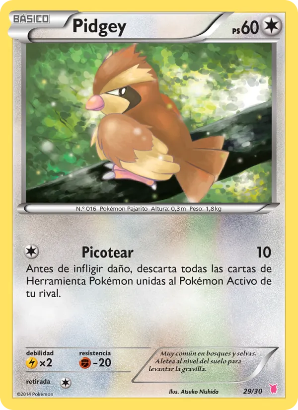 Pidgey (Kit de Entrenador XY (Wigglytuff) #29/30)