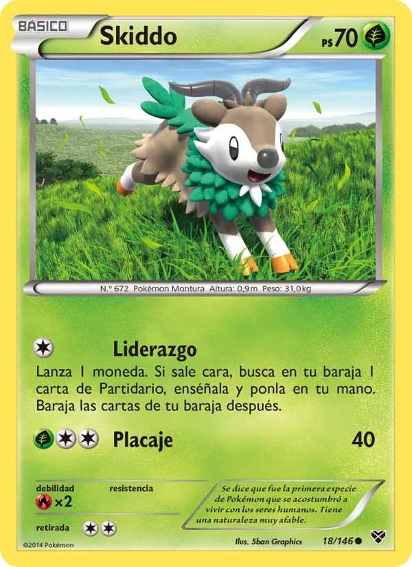 Skiddo (XY #18/146)