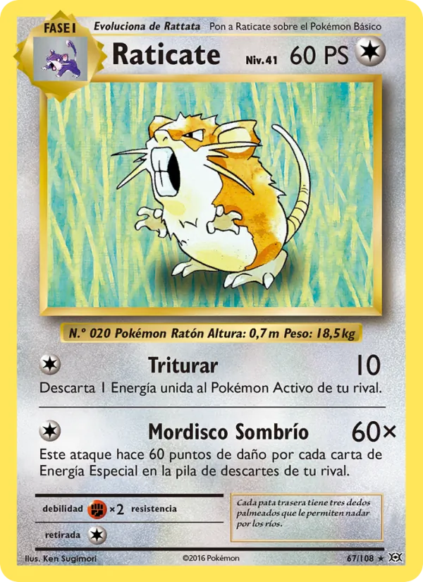 Raticate (Evolutions #67/108)