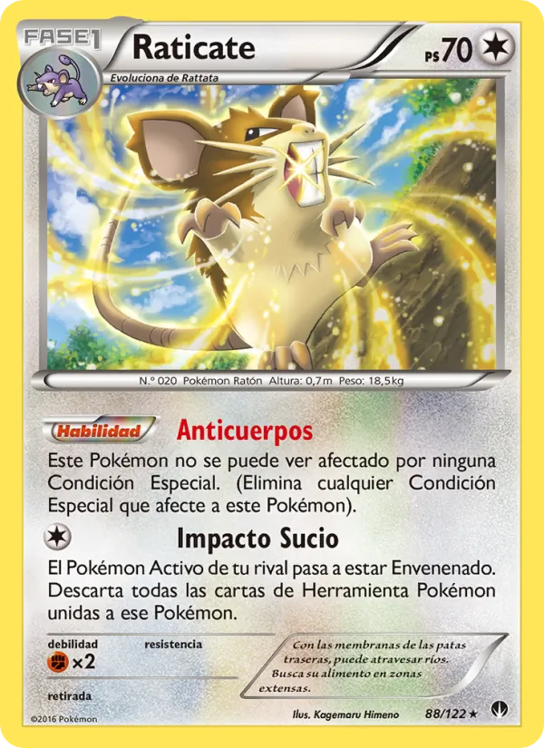 Raticate (BREAKpoint #88/122)