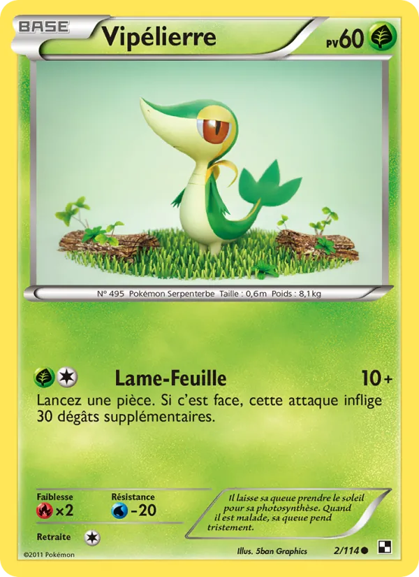 Vipélierre (Noir & Blanc #2/114)