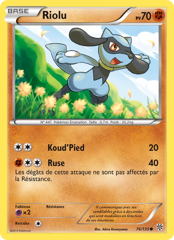 Riolu (Tempète Plasma #76/135)