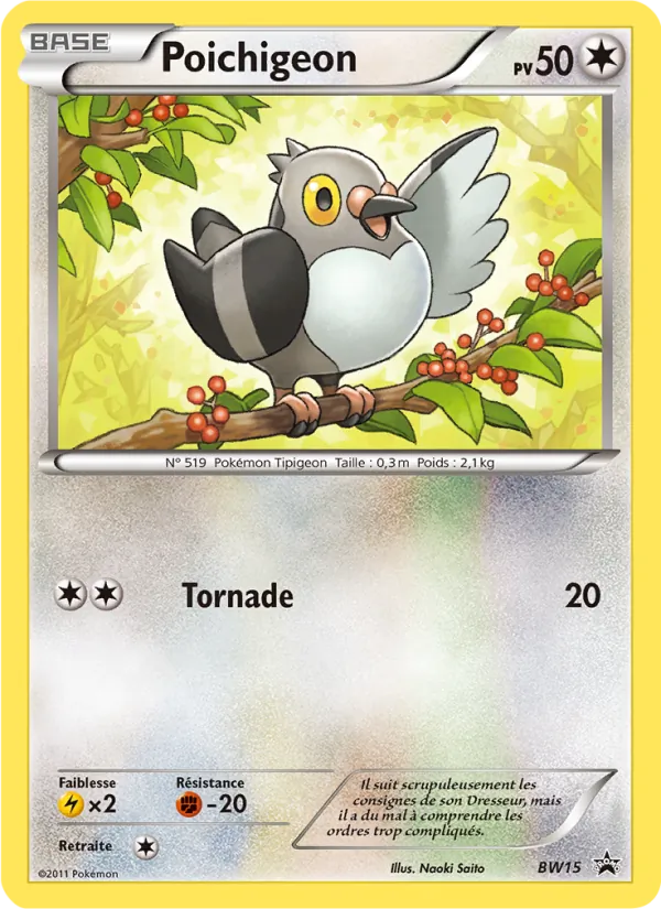 Poichigeon (Promo BW #BW15/101)