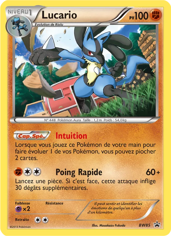 Lucario (BW Black Star Promos #BW85/101)