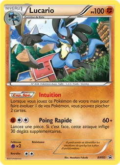 Lucario (Promo BW #BW85/101)