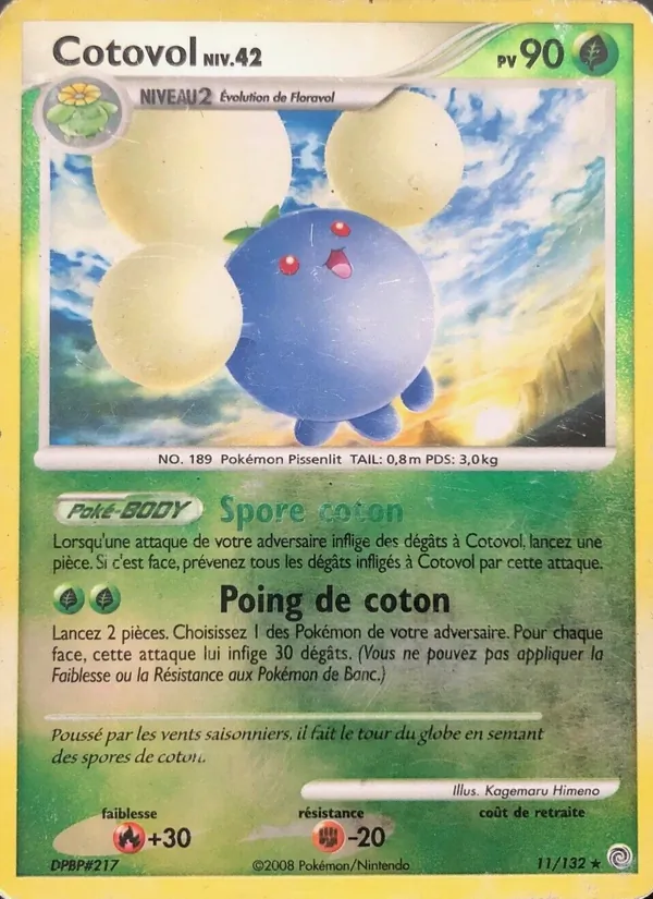 Cotovol (Merveilles Secrètes #11/132)