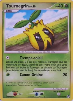 Tournegrin (Merveilles Secrètes #114/132)