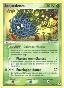 Saquedeneu (EX Créateurs de légendes #44/92)