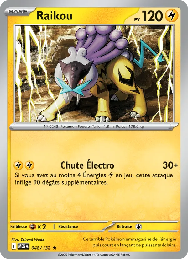 Raikou (Méga-Évolution #048/132)