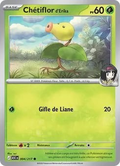 Chétiflor d'Erika (Héros Transcendants #004/217)