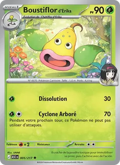 Boustiflor d'Erika (Héros Transcendants #005/217)