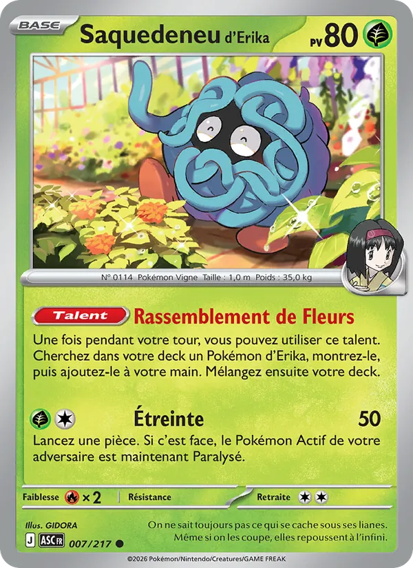 Saquedeneu d'Erika (Héros Transcendants #007/217)