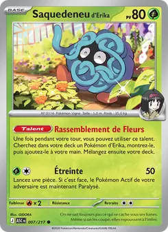 Saquedeneu d'Erika (Héros Transcendants #007/217)