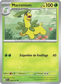 Macronium (Héros Transcendants #009/217)