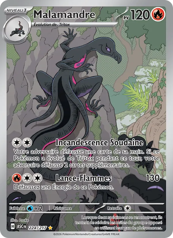 Malamandre (Héros Transcendants #224/217)