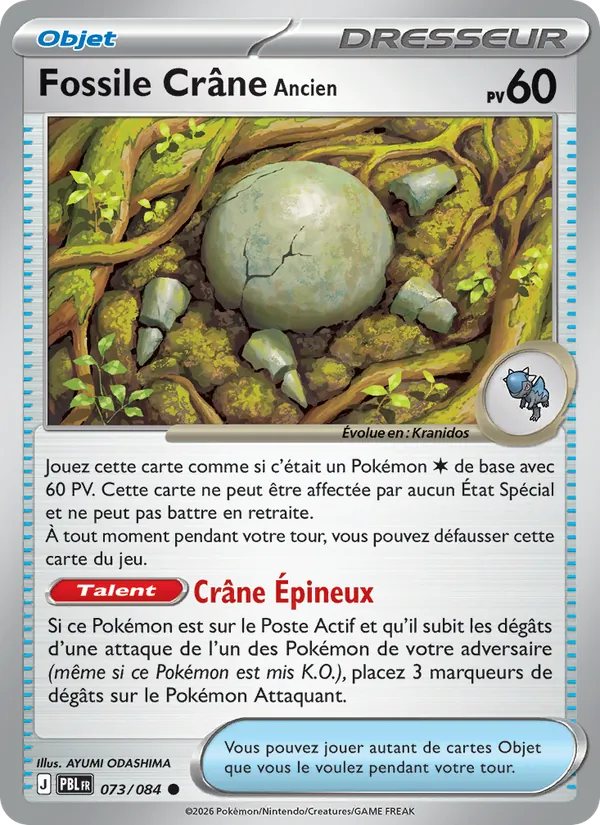 Fossile Crâne Ancien (Nuit Noire #073/84)